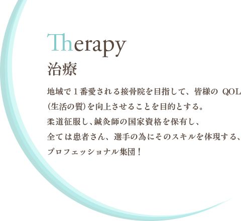 Therapy -治療-